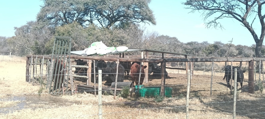 6 Bedroom Property for Sale in Hoopstad Free State